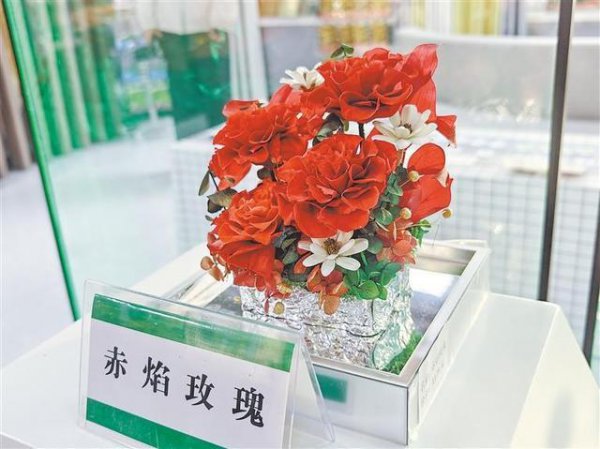 菌香花好意思枸杞红——酒泉市科技赋能特质产业发展见闻